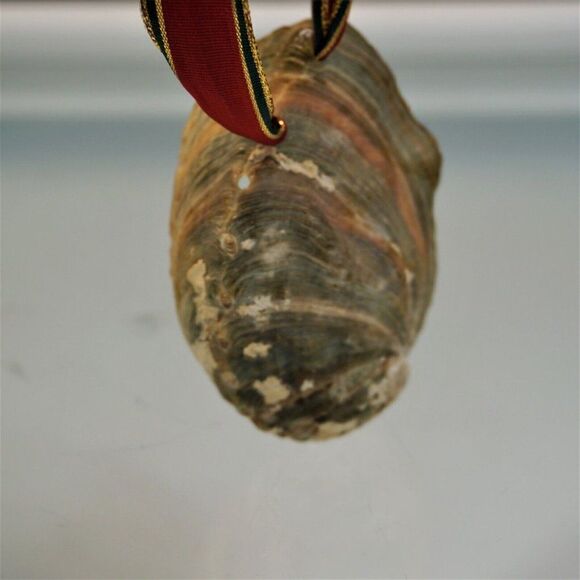 Vintage Christmas Shell Ornament Nativity Scene Diorama In Oyster Shell - Picture 7 of 7